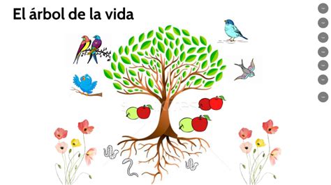 El Arbol Del Proyecto De Vida By Zharick Melissa Florez Olivero On Prezi