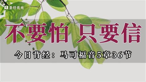 不要怕只要信｜20240313今日背经 马可福音5章36节｜《每日背经》｜跟着小光每日背一节圣经，默想这节经文，建造灵命，品尝主恩，一起来背经