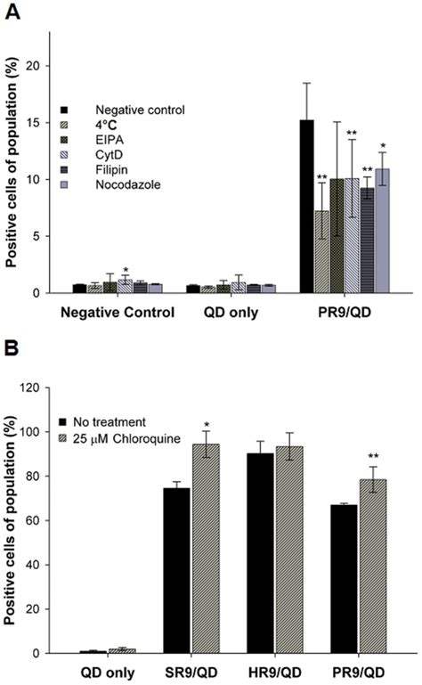 A Cellular Uptake Of Pr Qd Complexes Without Or With Inhibitors