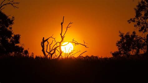 Catalunya Registra Les Primeres Nits Tropicals De L Any Abans D Hora A