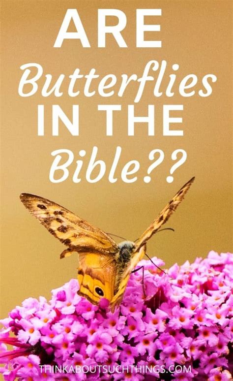 Are Butterflies In The Bible Think About Such Things