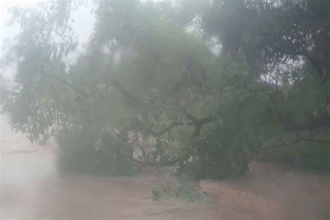 La tormenta arrasó con varios cables postes árboles y techos en San