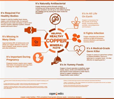 Coppers Health Benefits Infographic Copper Health Infographic