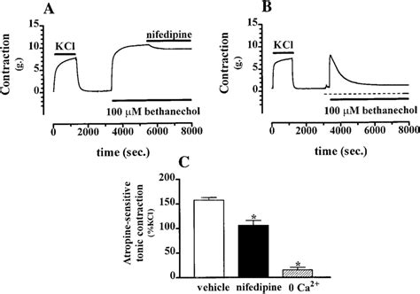 Effect Of Nifedipine And Ca Free Solution On Contractile Responses