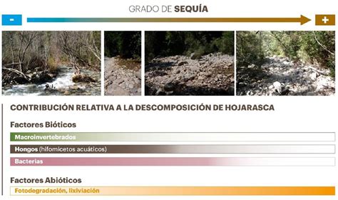 Figure 2 from Descomposición de la hojarasca en ríos intermitentes una