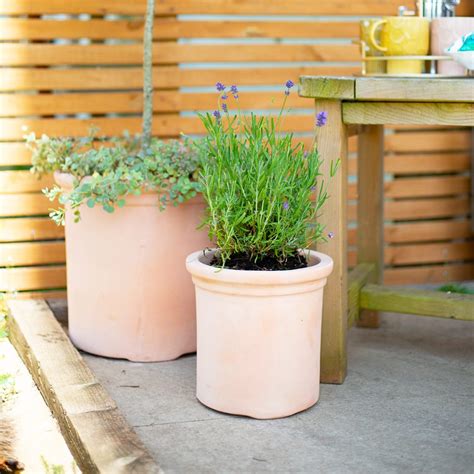 Natural Terracotta Pots Planters Apta