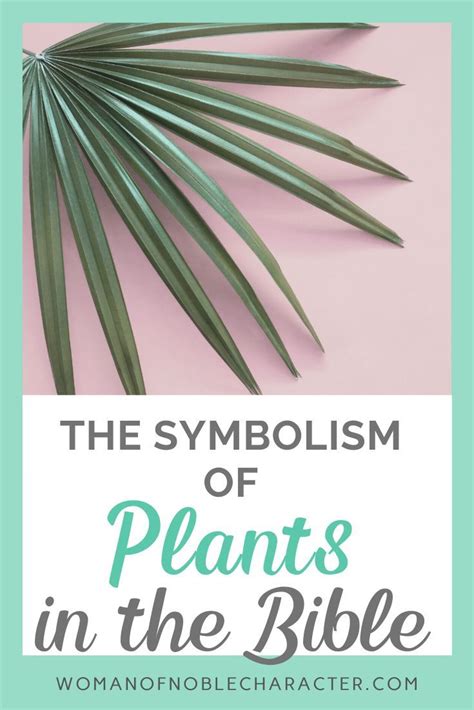 The Incredibly Interesting Symbolism Of Plants In The Bible