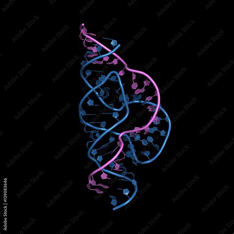 Hammerhead Ribozyme Is An Rna Molecule That Catalyzes Targeted Rna