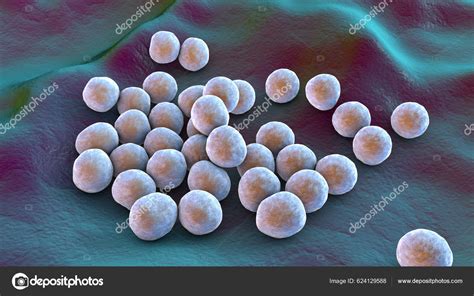 Mrsa Bacteria Under Microscope