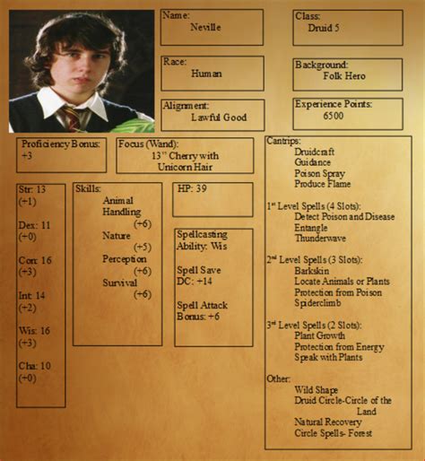 Make Your Dnd Campaign Truly Magical By Accio Ing These Harry Potter