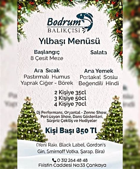 Bodrum Bal K S Ankara Y Lba Ankara Y Lba Ankara Y Lba