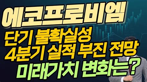 에코프로비엠 주가전망 단기 불확실성 4분기 전망치 하회전망 미래가치 변화는 Youtube