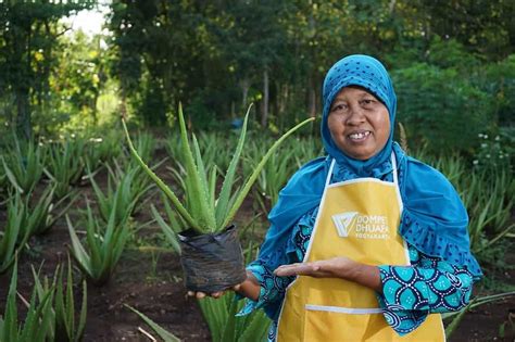 Zakat X Bsi Ramadan Fest Portal Donasi Dompet Dhuafa