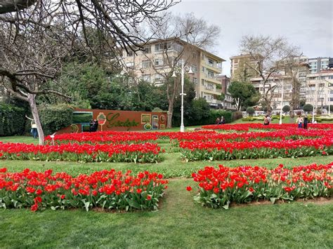 Armuş on Twitter Ankara da Kuğulu Park varsa İstanbul da da martılı