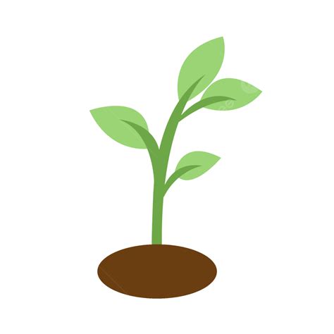 Plantas De Dibujos Animados Png Dibujos Dibujos Animados Pintado A Mano Planta Png Y Psd Para