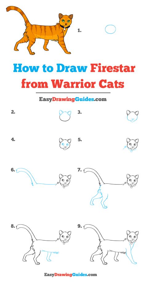 How To Draw A Warrior Cat Kit Step By Step