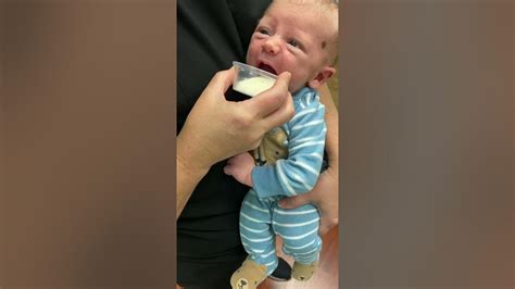 Cup Feeding Newborn Youtube