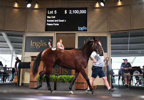 21 Million Exceed And Excel Colt Starts Inglis Easter With A Bang