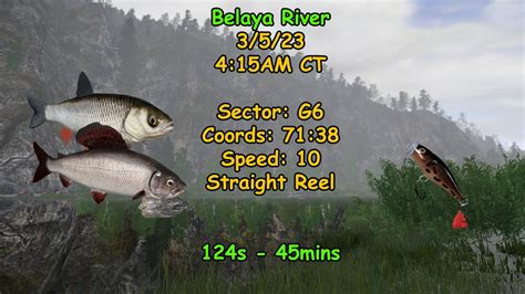 Russian Fishing 4 Belaya River Active Spot 3523 YouTube