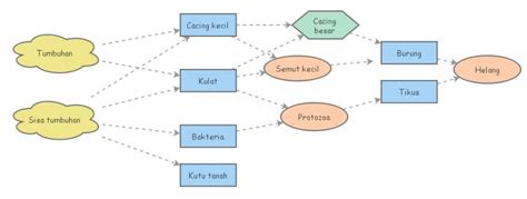 Soil Food Web Insight Maker