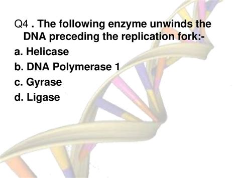 Dna Replication And Repair Ppt Download