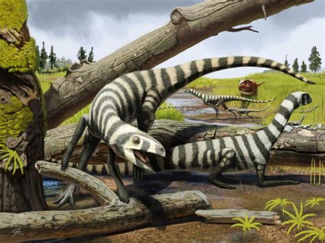 Asilisaurus Kongwe Arcosaurio Silesáurido Del Triásico De Tanzania