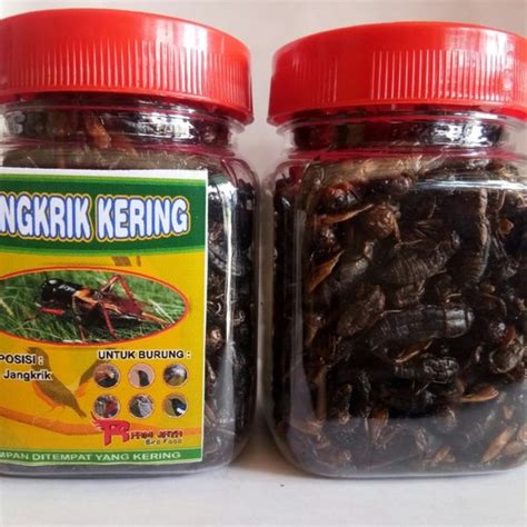 Jual JANGKRIK KERING 50 GRAM TOPLES PAKAN BURUNG MURAI KACER PENTET