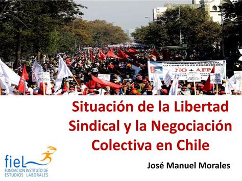 PDF Situación de la Libertad Sindical y la Negociación FIEL