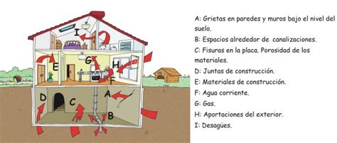 Descubre Qué Es El Radón Y Como Nos Afecta Rincón Educativo