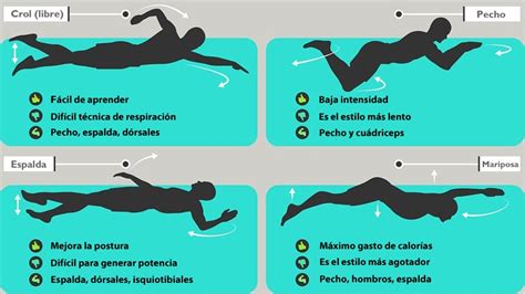 Cuál es el estilo de natación con el que quemas más calorías Salud