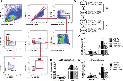 Frontiers Time Restricted Feeding Reduces Monocyte Production By