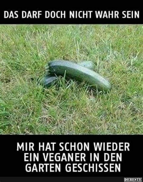 33 Humor Sprueche Leben Lustig Kurz Aber Wahr Spruchewym