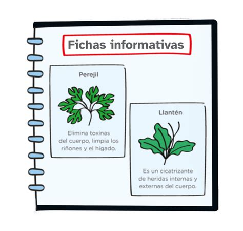 Fichas Informativas De Plantas