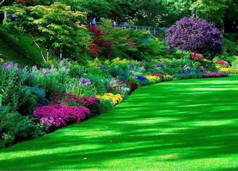 Beautiful Flower Bed | Gardening | Pinterest