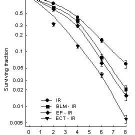 Radiation Survival Curves Of LPB Cells Exposed To Different Irradiation