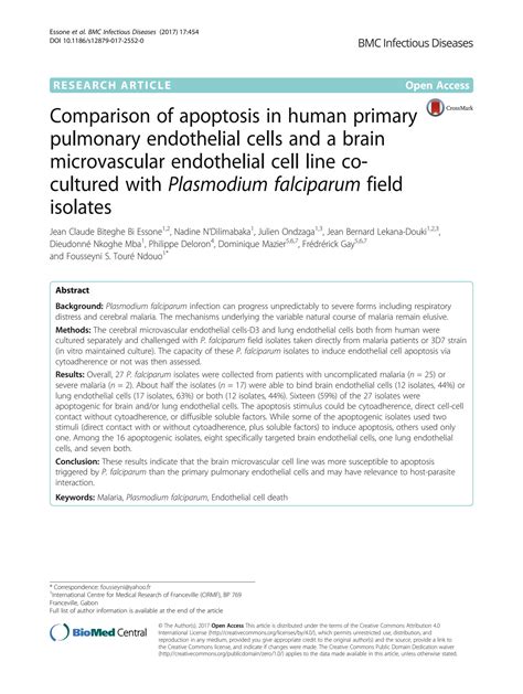 Solution Comparison Of Apoptosis In Human Primary Pulmonary Endothelial Cells And A Brain