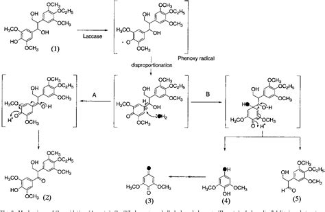 Figure 6 From Microbial Degradation Of Lignin Role Of Lignin