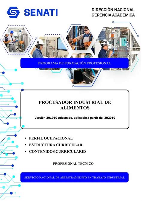 Pdf Contenido Curricular Procesador Industrial De Alimentos PERFIL