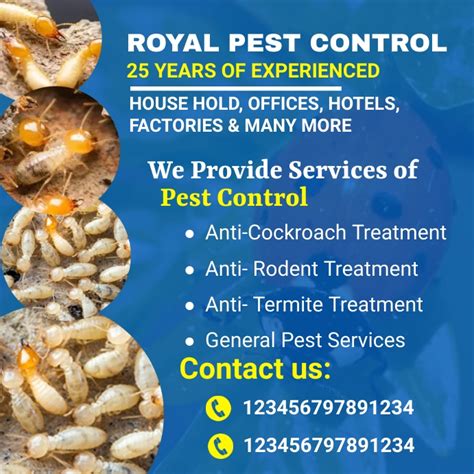 Pest Control Flyer Bed Bug Poster Pest Cont Template Postermywall