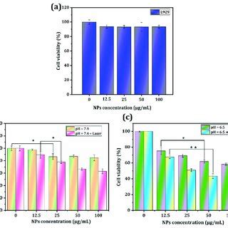 In Vitro Cytotoxicity Analysis Of L Cells A Synergistic