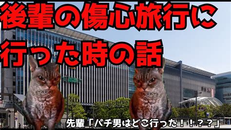 【実話猫ミーム】後輩の傷心旅行に行ったときの話【猫ミーム】【猫マニ】 猫ミーム 猫マニ パチンコ スロット 次回予告 負け 借金 傷心旅行 第四十六話 Youtube