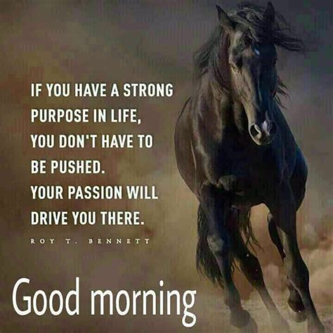 Good Morning Your Passion Will Drive You Goodmorninginspirationalquotes Good Morning Quotes