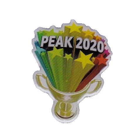 Amazon Peccy Peak Employee Pin Ebay