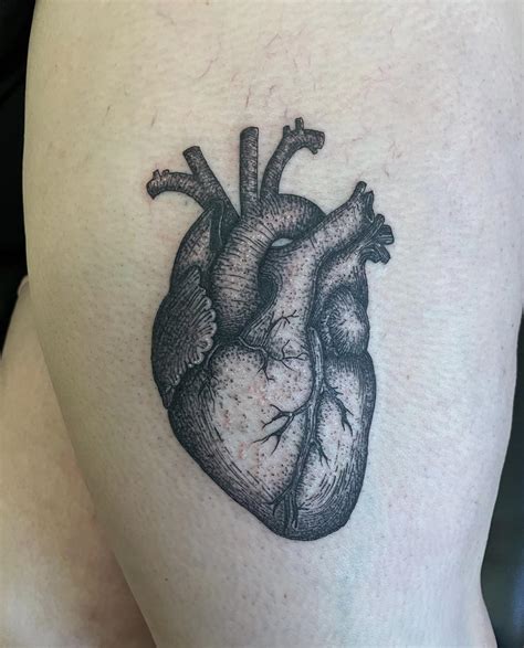 Anatomical heart tattoo, done by me🫀 : r/TattooDesigns