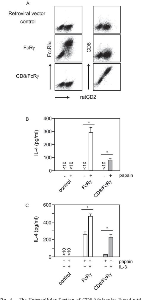 Figure 1 From Interleukin 3 Potentiates Murine Basophils For Protease