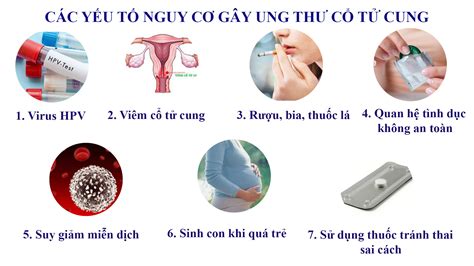 Nhận biết để phòng ngừa sớm ung thư cổ tử cung Trung tâm Y tế huyện