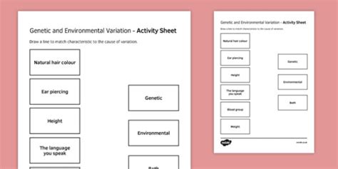 Genetic and Environmental Variation Match and Draw