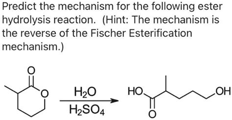 SOLVED: Predict the mechanism for the following ester hydrolysis ...