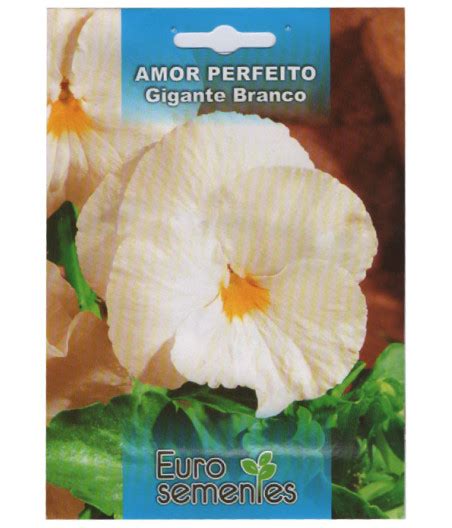 Sementes De Amor Perfeito Gigante Branco