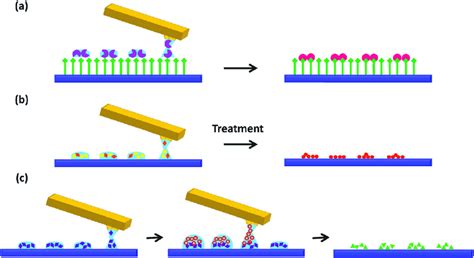 Schematic Representation Of The Different Methodologies Employed To